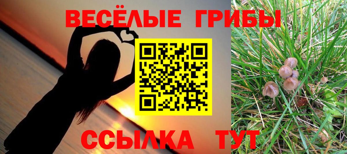 Псилоцибиновые грибы мухоморы Благодарный