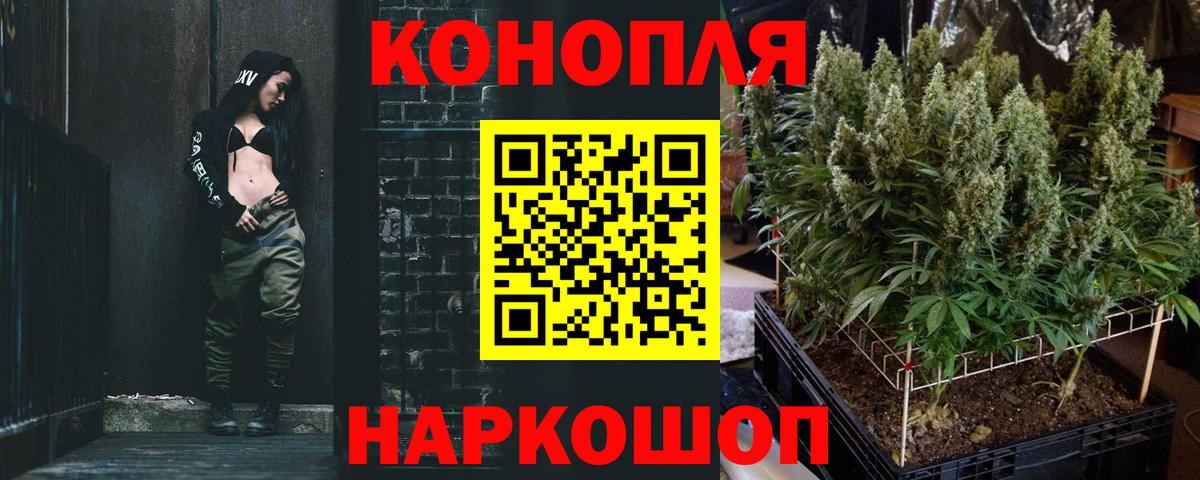 МАРИХУАНА ГИДРОПОН Благодарный